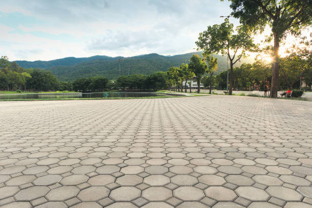 Best Paver Driveway Replacement  in New Carrollton, MD