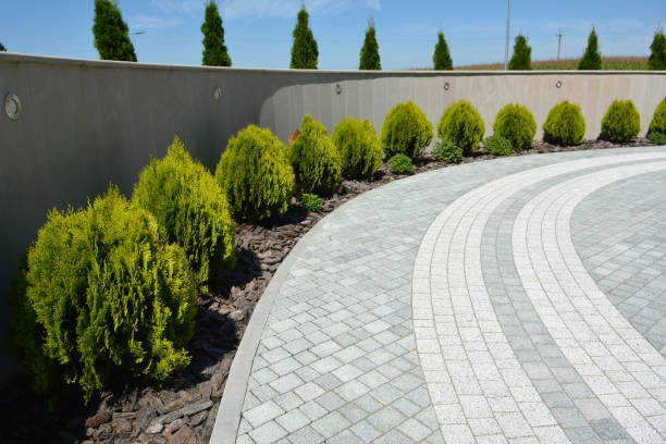 Reasons to Select Us for Your Driveway Paving Requirements in New Carrollton, MD
